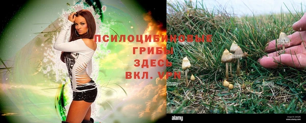 ECSTASY Балабаново