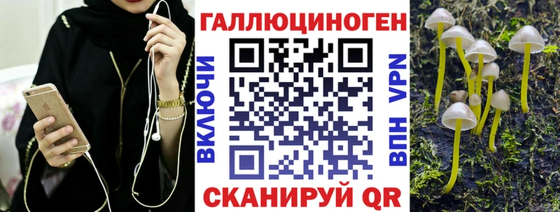 Галлюциногенные грибы Psilocybe  нарко площадка телеграм  Шлиссельбург 